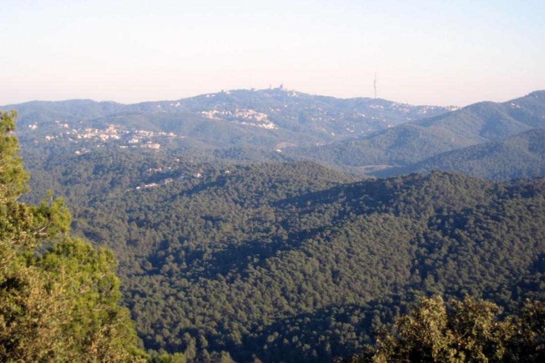 Protecció Civil fa una crida a la prudència davant un dissabte amb elevat risc d'incendi forestal i pic de calor 